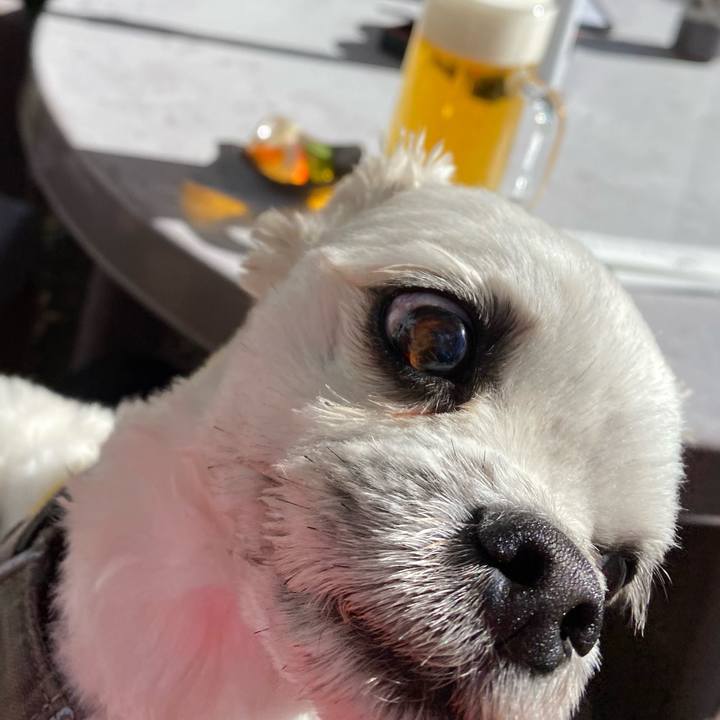 D3a9c6ba fb02 4f19 999c 494f4a3733f7 1638269566558