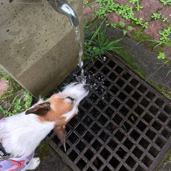 D3a9e04d 853e 4c9a 8e72 6fd7b1ada507 1591917843263