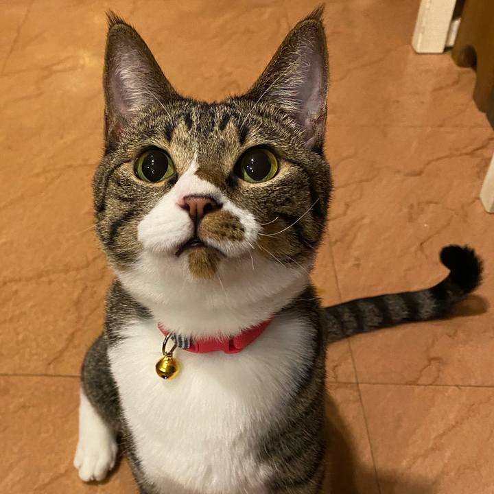 D3aa9ca4 a068 4edd 9a5f 2f8da4746d28 1667903217240