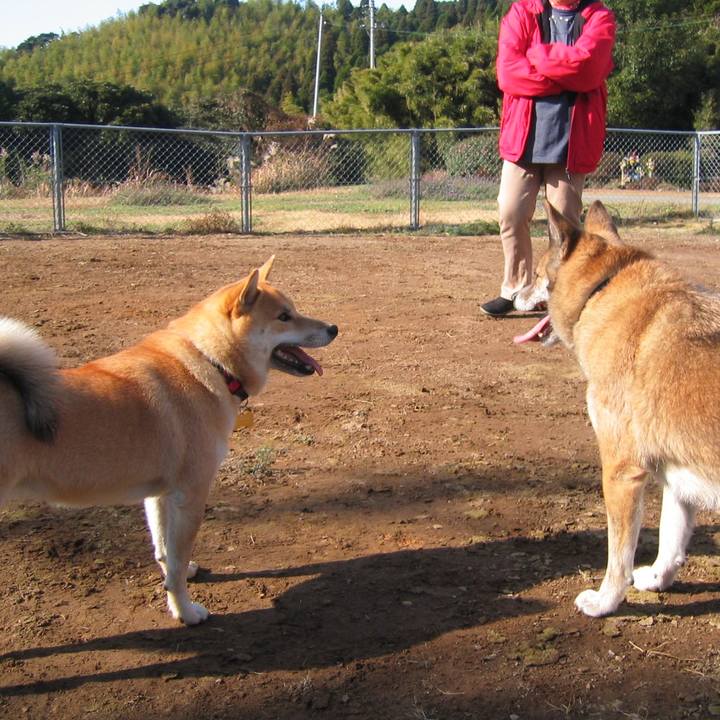 D3aaa3b1 3dcc 49e1 8b7c 840852b99bb0 1604418574042