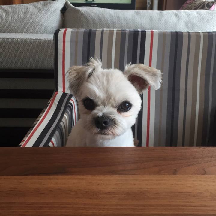 D3aaa7d9 c45d 478d a9b8 317cd40ac18b 1533954278409