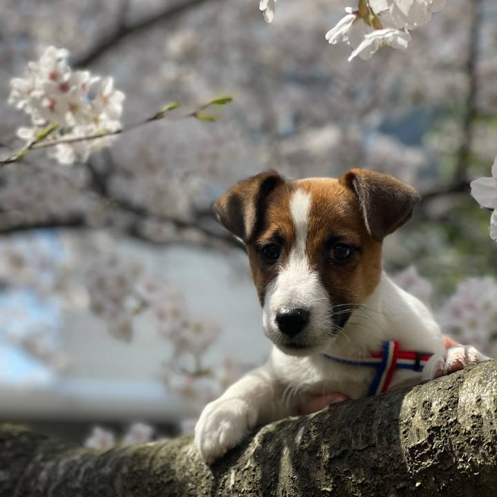 D3aab58d 8d6a 436b bc96 1f819e540173 1617497892153