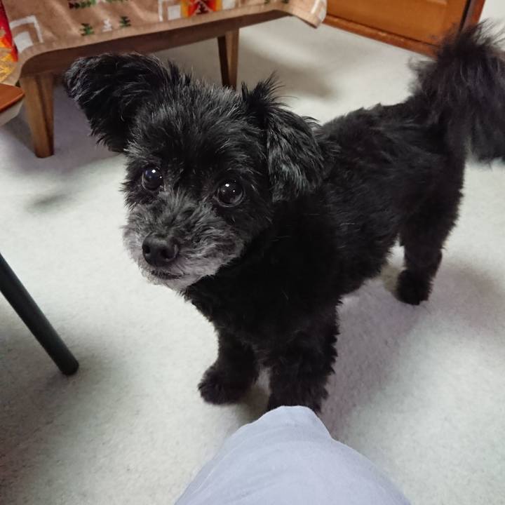 D3ab0ef4 3e98 4acf 9ab3 9795eea87b98 1601638463375