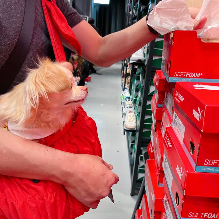 D3ab10f1 1533 4473 bdb7 cc890bb225fe 1649741703496