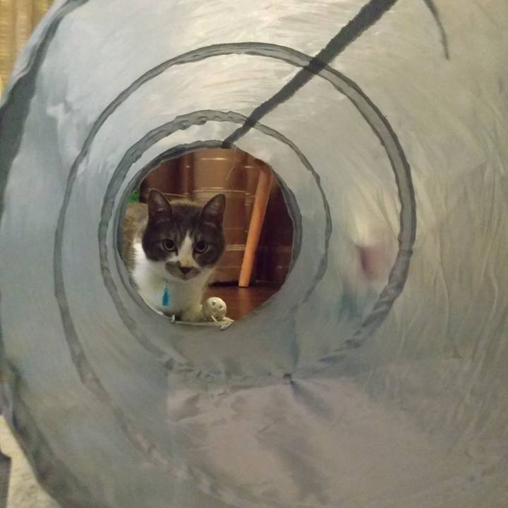 D3ab27dc f373 46c7 9bcf 2030165f5018 1632490669255