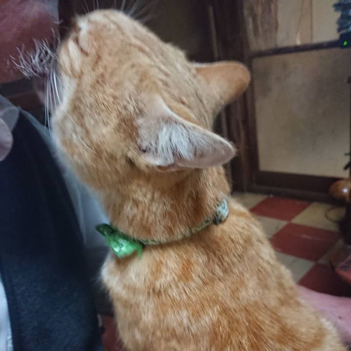 D3ab340f 1075 4e14 a353 fa5eec988493 1586255767254