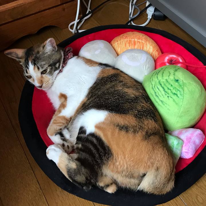 D3ab3b40 0a2b 49c6 af1f 71fdc7d963de 1627778685120