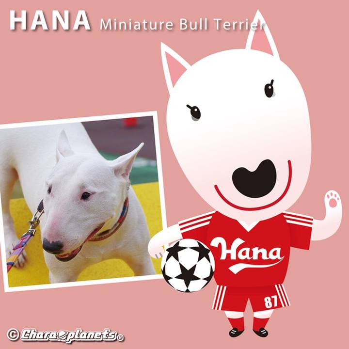 D3ab55f4 06a5 4309 8eb3 cfbb969a3dac 1565317662438