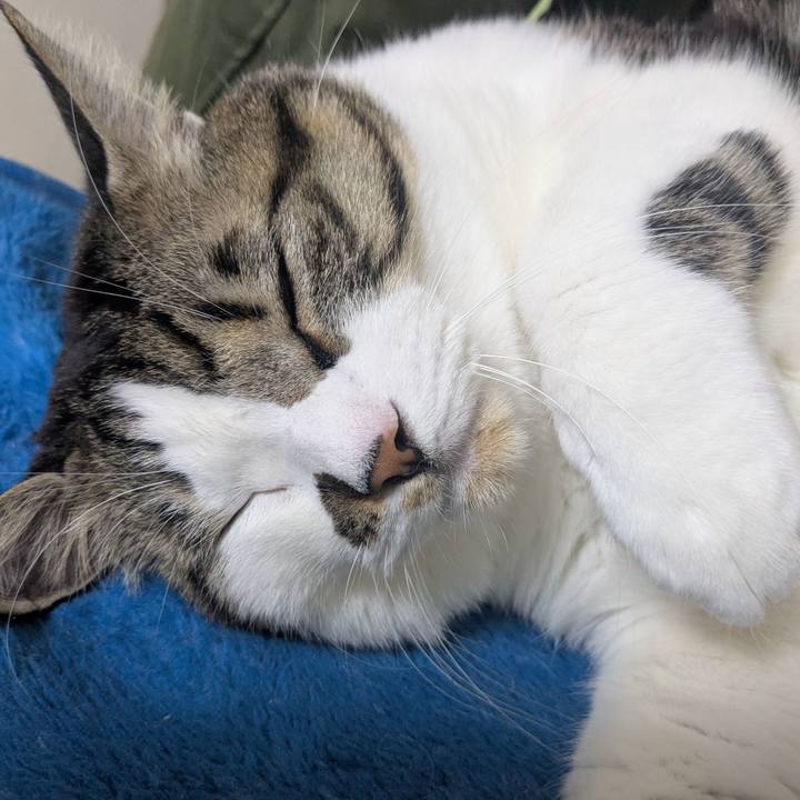 D3ab84fc 288c 4297 b367 8f34c52736a0 1766921360312