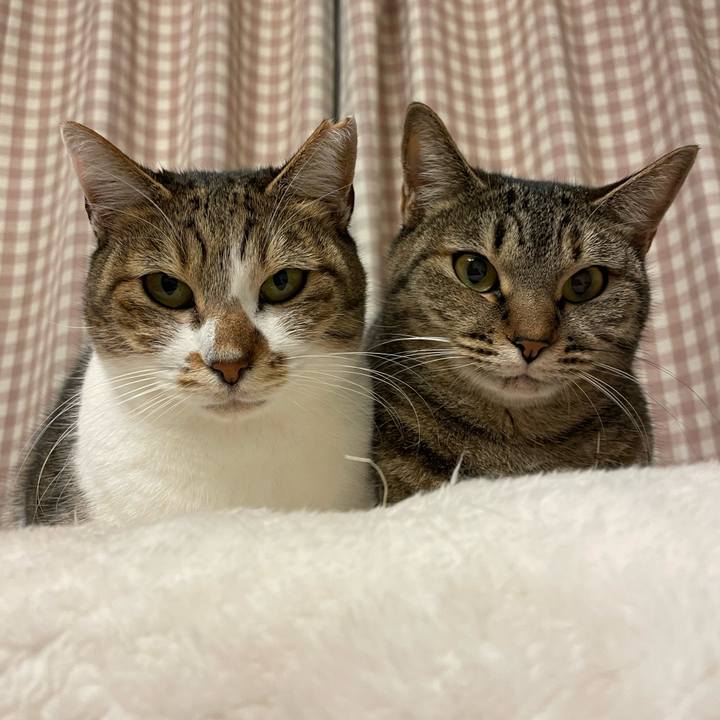 D3ab8dc2 295e 49a4 a4ea 58f58cff7a70 1702378271642