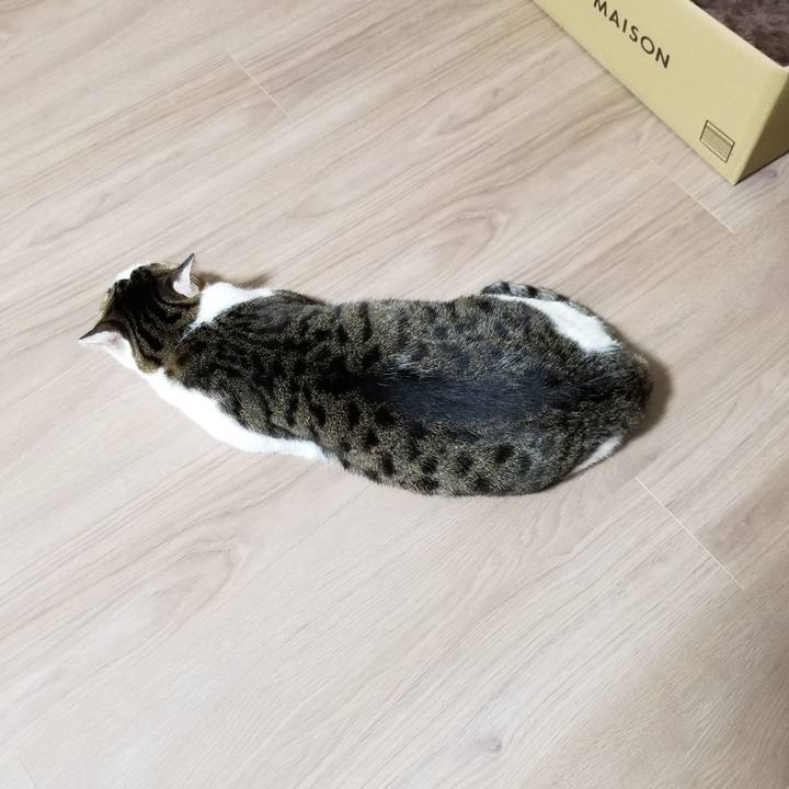 D3ab9f4a d55e 4e7f b68a 33ee8fce892c 1616325033260