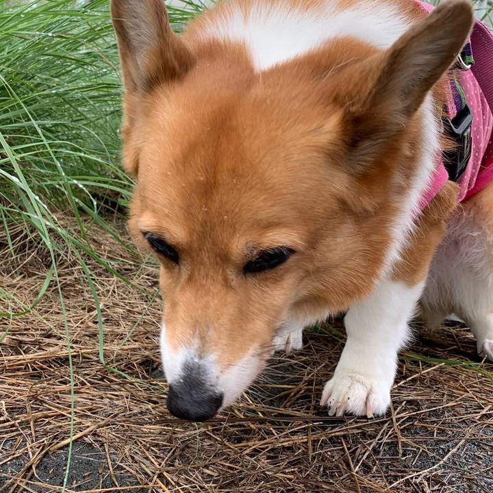 D3aba83f 777b 4e62 b787 271e834635bf 1721097823325