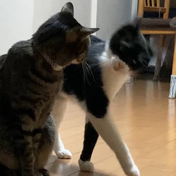 D3abb2aa acc8 4411 8062 886301647da1 1619107137816