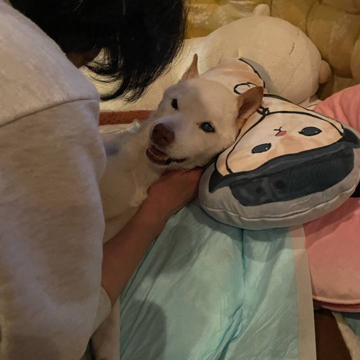 D3abb6ec 6d2d 4a3d b03e c5a816e12f0a 1679656500733