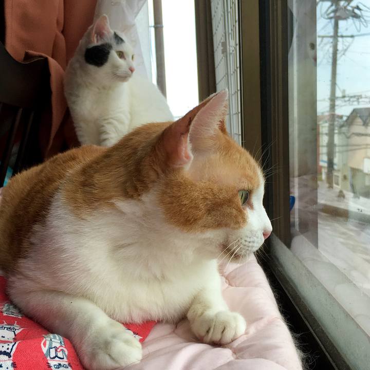 D3abfe71 5daf 4d34 b1dc e58226e40478 1599115708166