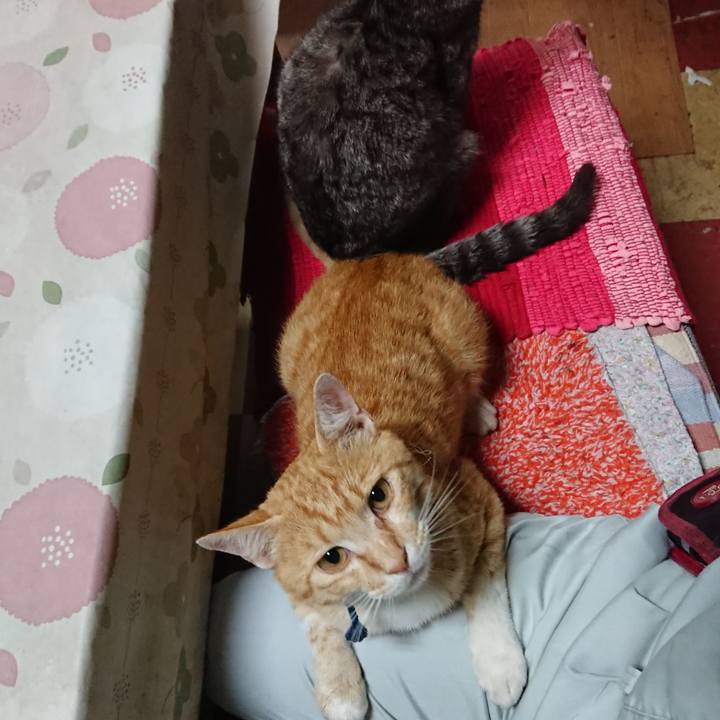 D3ac2172 4c8f 4737 ac4c 8db95ebcc98d 1562190442225