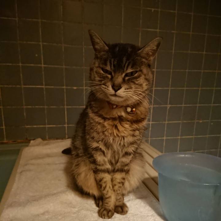 D3ac40ab 2ec9 46b5 8fb2 e0ce55e772d6 1584263592048