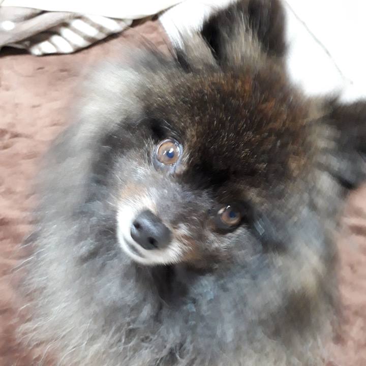 D3ac93ed 58b9 4a7d 849c 41ecb1c89ca2 1516776011823