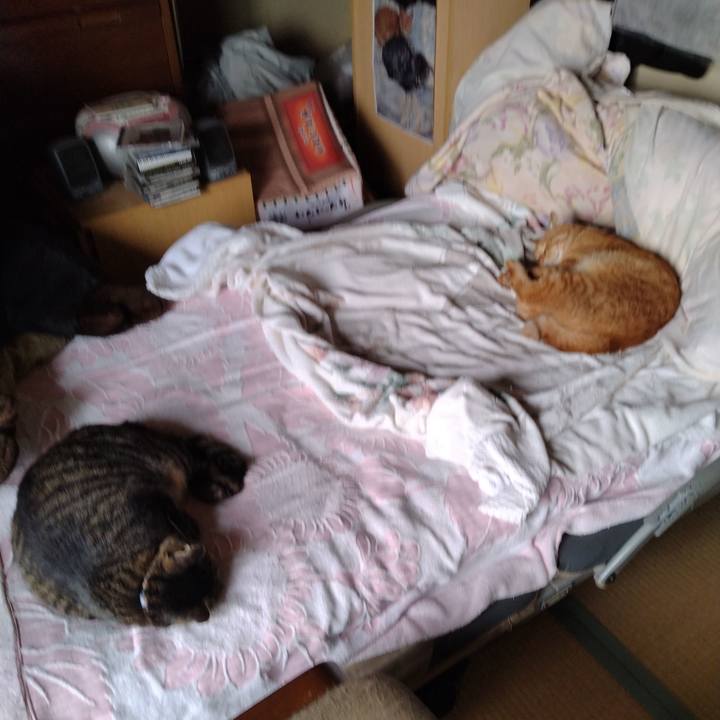 D3acd5f7 43ca 42d7 8a8e e0a156be7dea 1695277811174