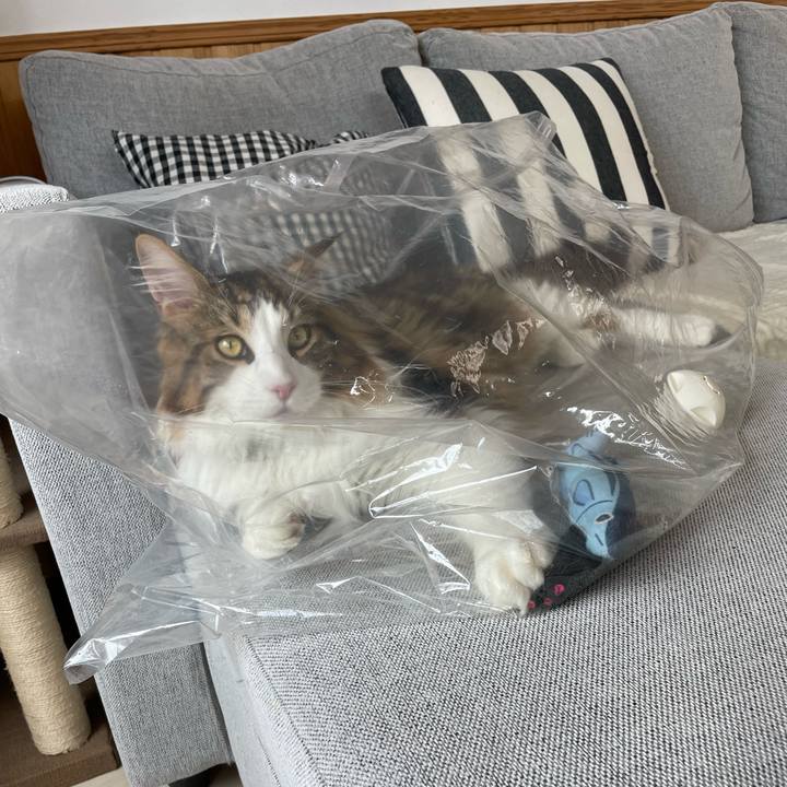 D3acdce8 1fb3 4230 879a 503072324485 1651540625840