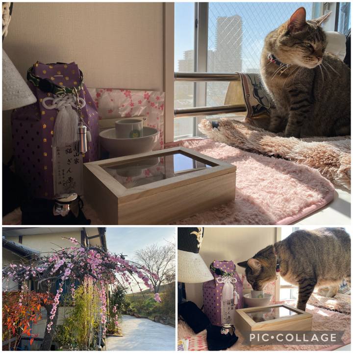 D3ad05ec 6d9a 4c92 9631 3a58cf197671 1677993334808