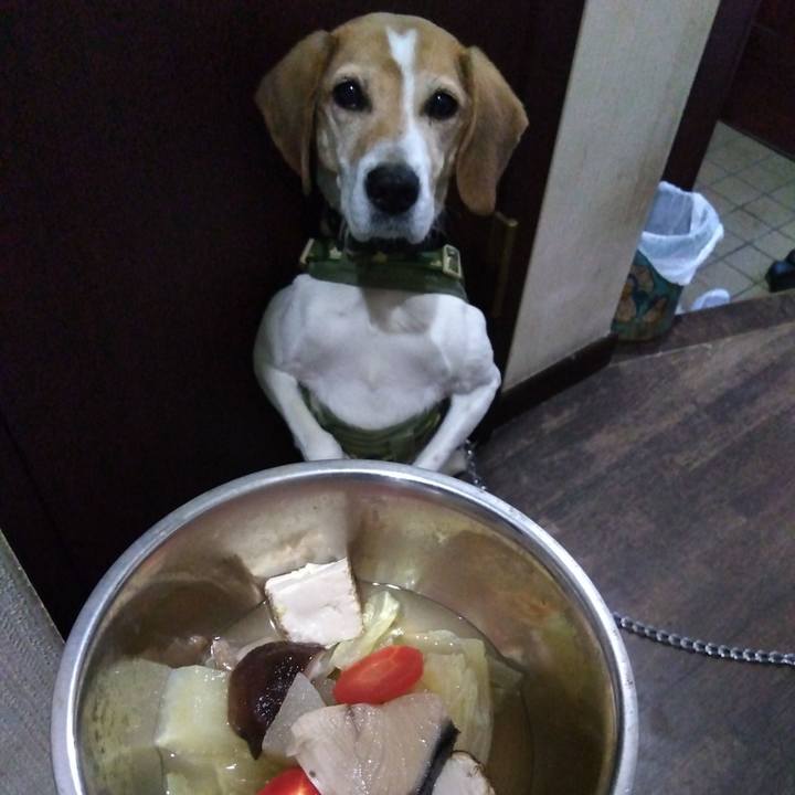 D3ad16b2 dbd8 4ddf ae0f 29b805c75c6f 1710338720231