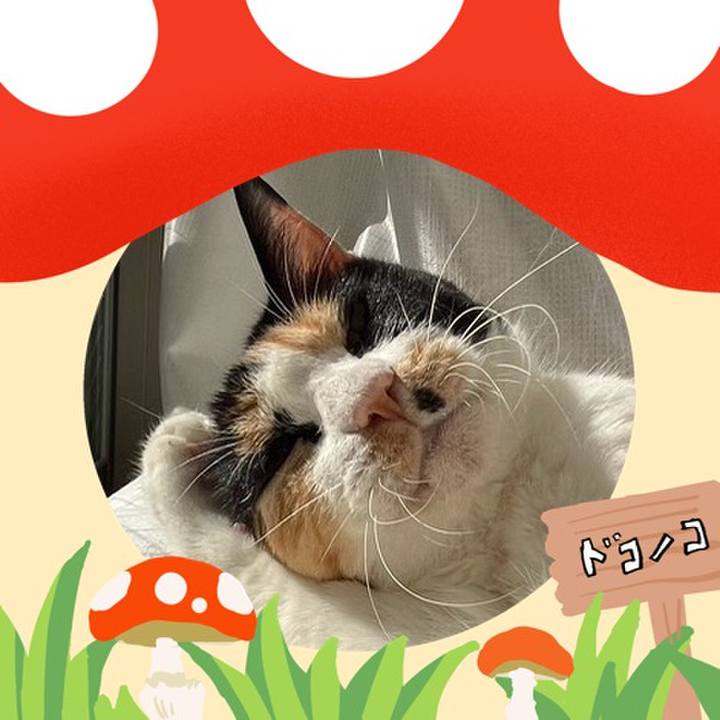 D3ad1ebc ff0e 4bff af05 73a71eeb9ca8 1729067160913