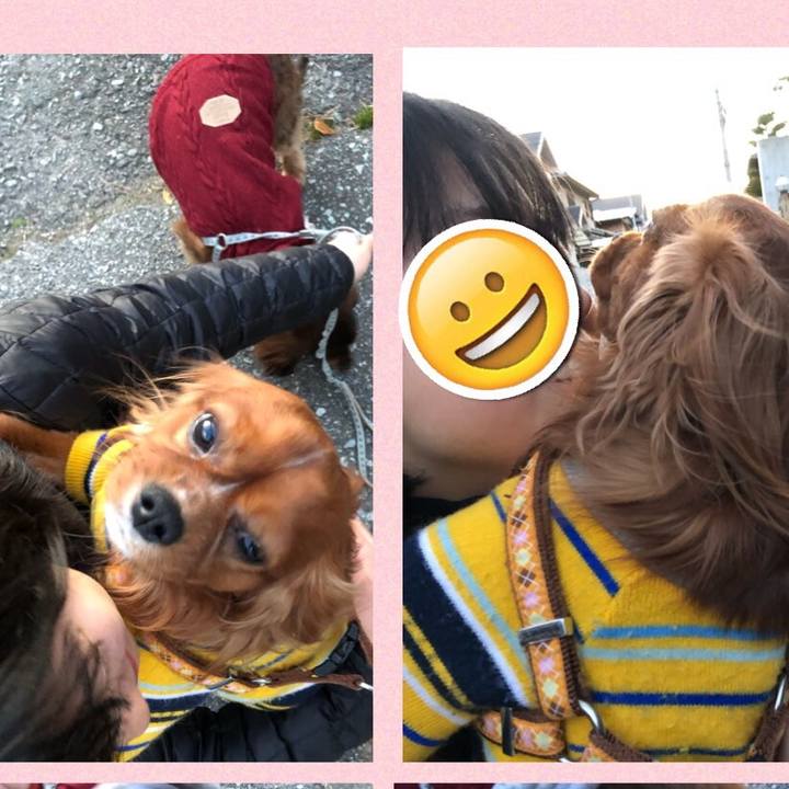 D3ad248a 5d71 4c1a 8435 ec7510bc4c3f 1547463971129