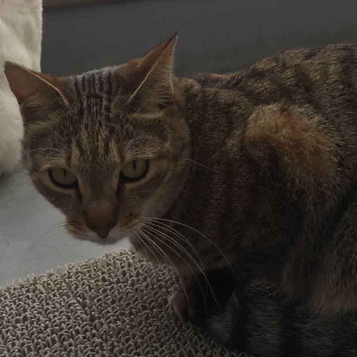 D3ad3026 b47c 4957 88e5 5e08173f0d95 1521360150302