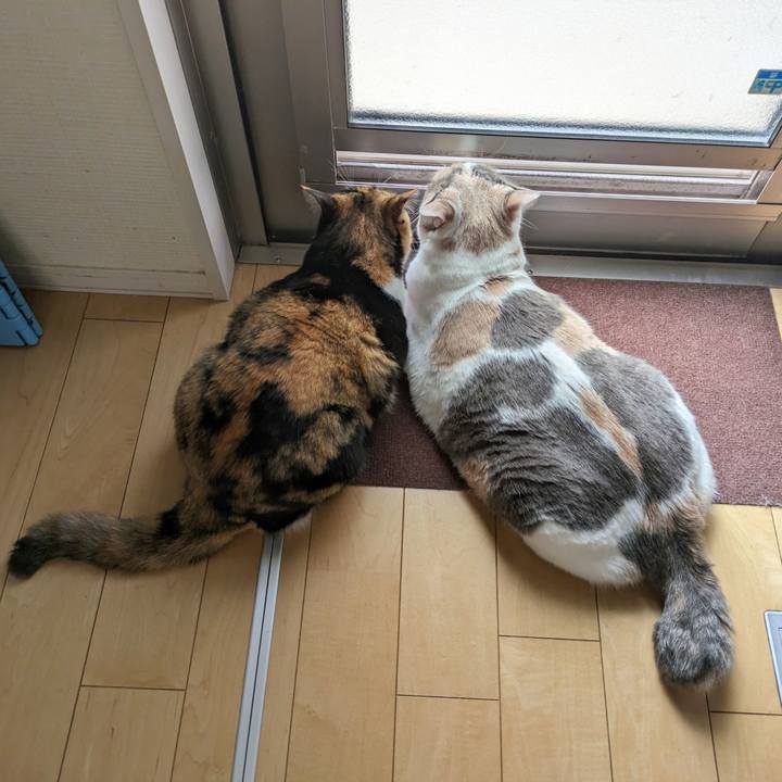 D3ad5405 e69a 42b2 b393 23fa3a19eff1 1714019813958