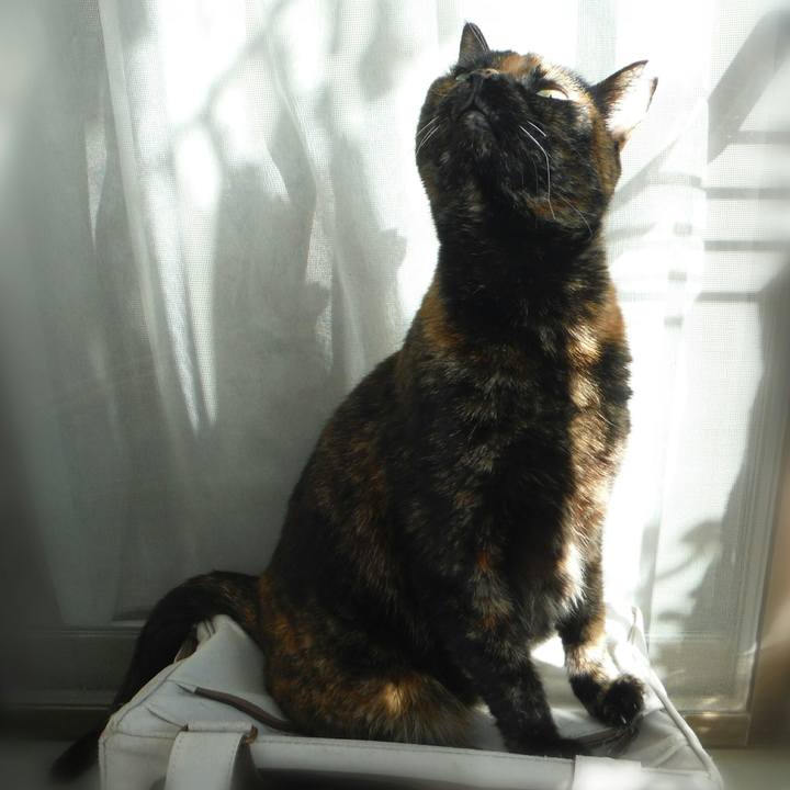 D3ad646d 32d1 4f7d 8f5a b18667fe1d52 1549331483240