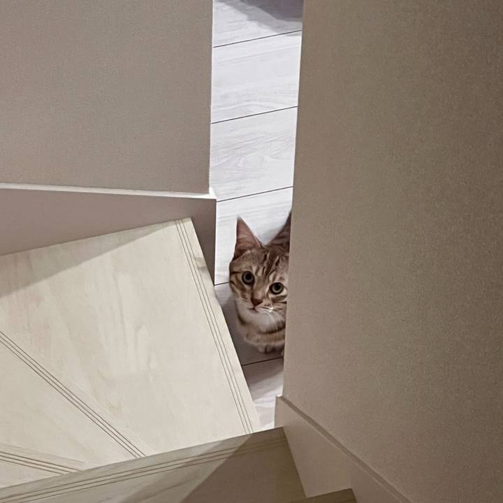 D3ad789a dbc4 4547 af71 3de96dc8d644 1664633226093