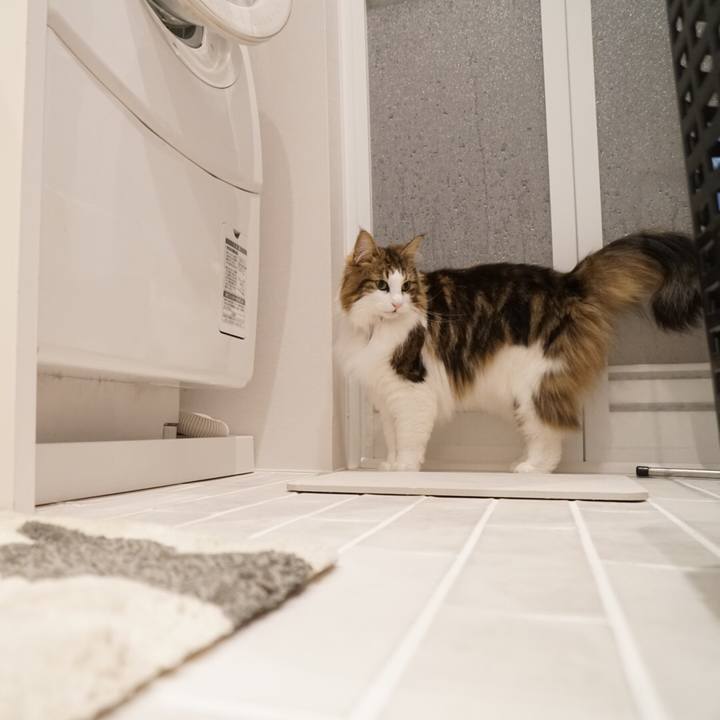 D3ad8e22 0906 42b5 8ec1 876b1e5d1d6a 1551368448205