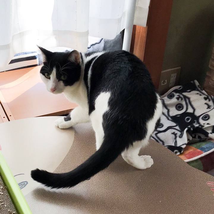 D3adb5f8 9e9f 40db ae28 c74b70d9be37 1510843304258