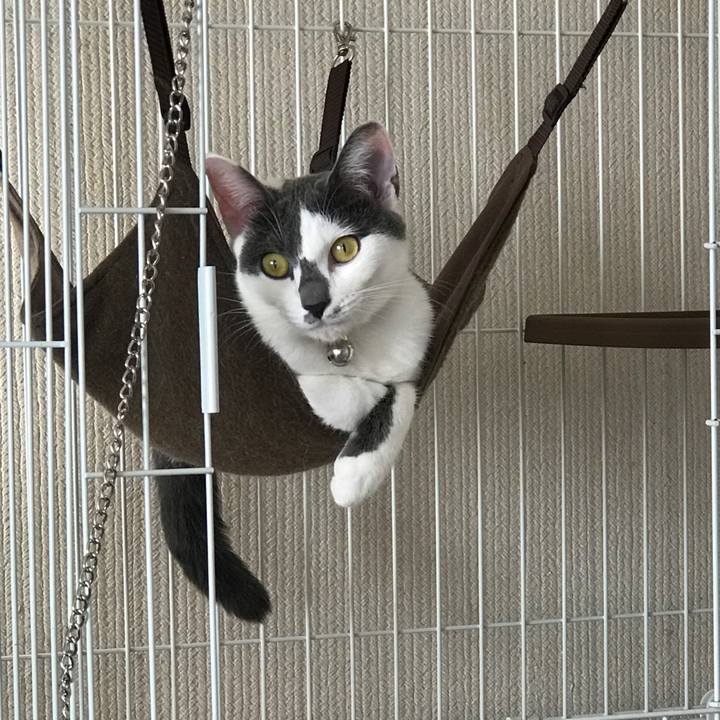 D3adce58 eb17 494b 9467 2e88da2ecf6c 1507700873057