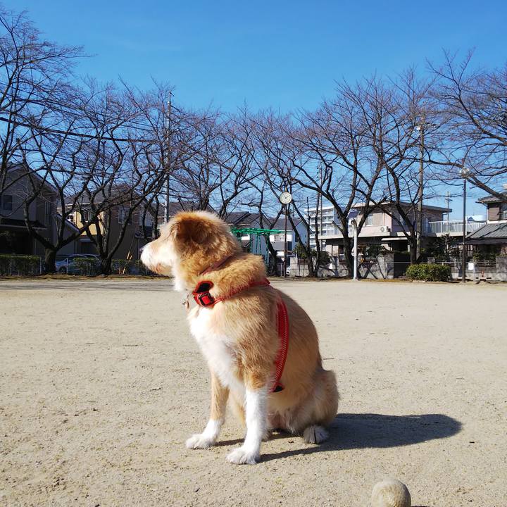 D3add05d 457f 4a28 a326 f15c83f00281 1550468241477