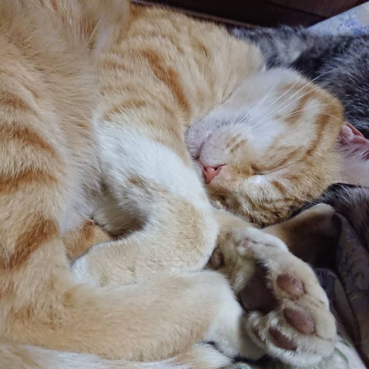 D3adf518 9d3d 4799 b6b3 01d05f4f3f15 1588163585786