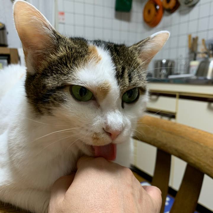 D3ae0092 ff98 434d ac03 9f482e6453aa 1662769338158