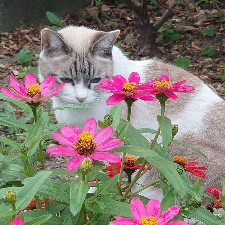 D3ae0e5a 7e1a 42d2 84ef 46d22bcb90e7 1696580306082