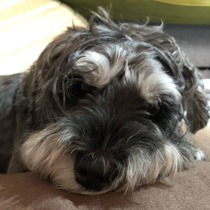 D3ae3dc2 408b 4ea4 bcaf 8a9b3e4414c2 1664032458356