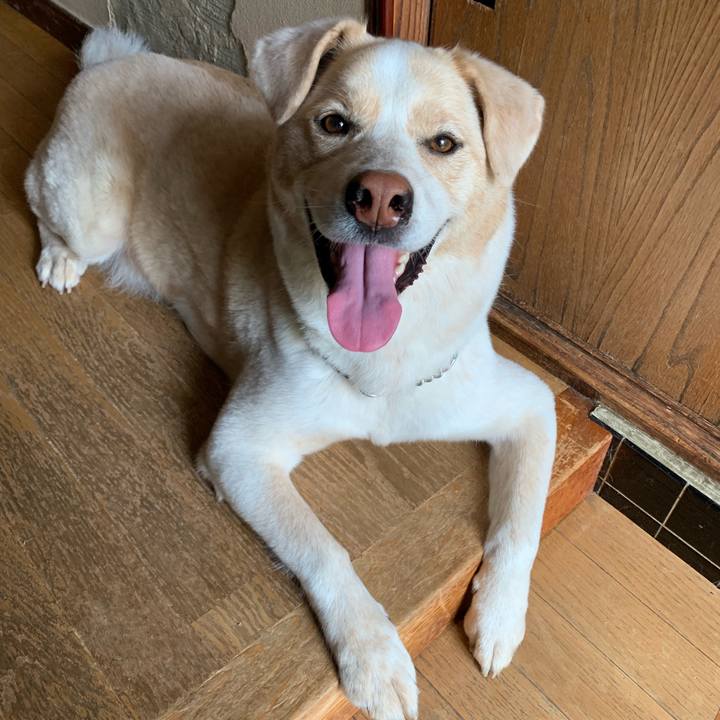 D3ae65e5 94db 4e4a ba11 c94dd8815e46 1564016704415