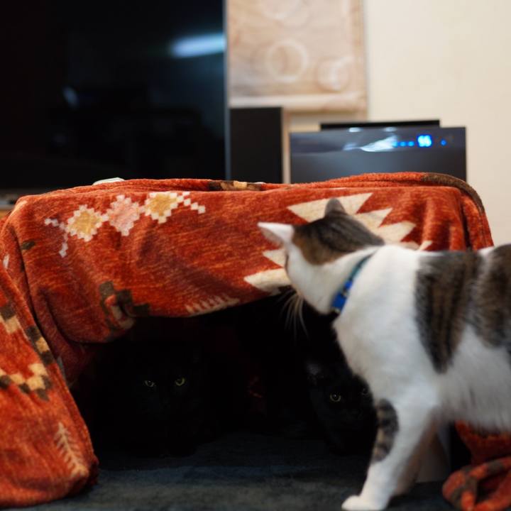 D3ae714a 38a1 408d bf21 9fe4f0041e43 1575812483644