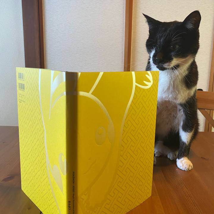 D3ae7e30 1b1b 458b b53e 05c20d5c0e39 1683115428139