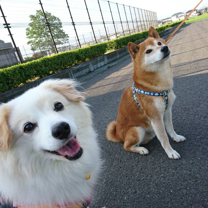 D3ae80fd abac 446e b179 01cba7e43d81 1531215259274