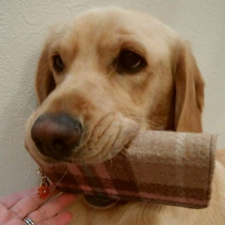 D3ae9f05 eef0 4606 b21c 8e6ea51d5dfb 1517112286017