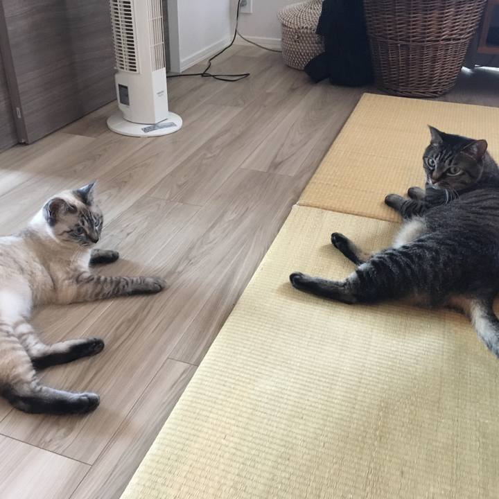 D3aeabff 94b1 4afb 9129 2cb09bb5227a 1558921014090