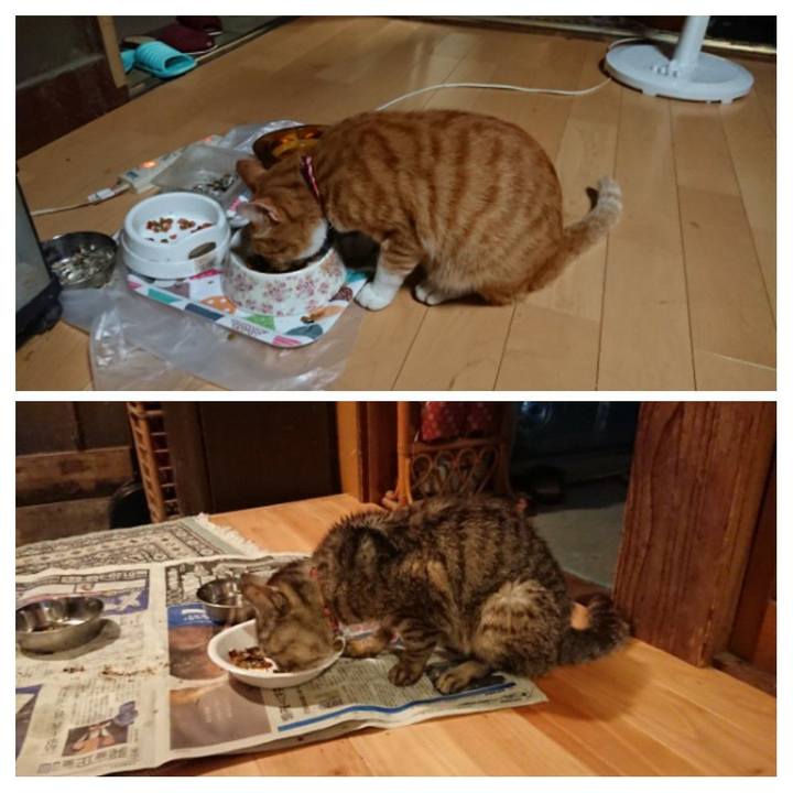 D3aef8e0 5081 4a92 8899 1ccfe721677c 1598266481971