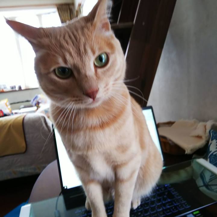 D3af04b7 4a12 4777 a0a4 585aaa325c51 1612757171070