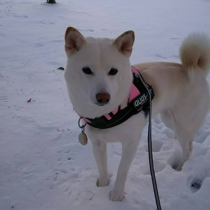 D3af0a70 3887 4834 8924 62dc8664fe9d 1516954726086