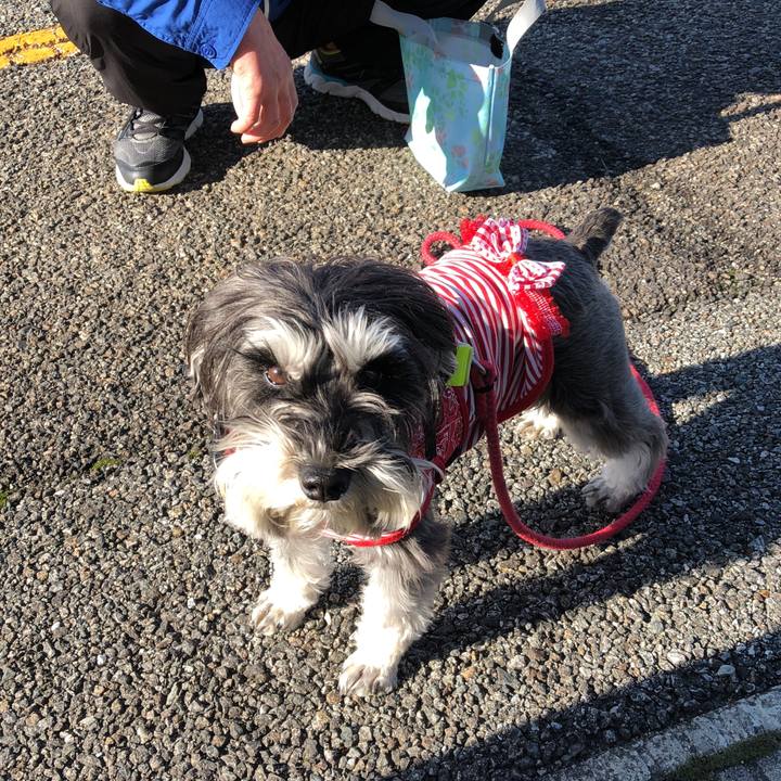 D3af6bd0 aeb6 4fc7 a7ec 0c16038b7116 1520037084534